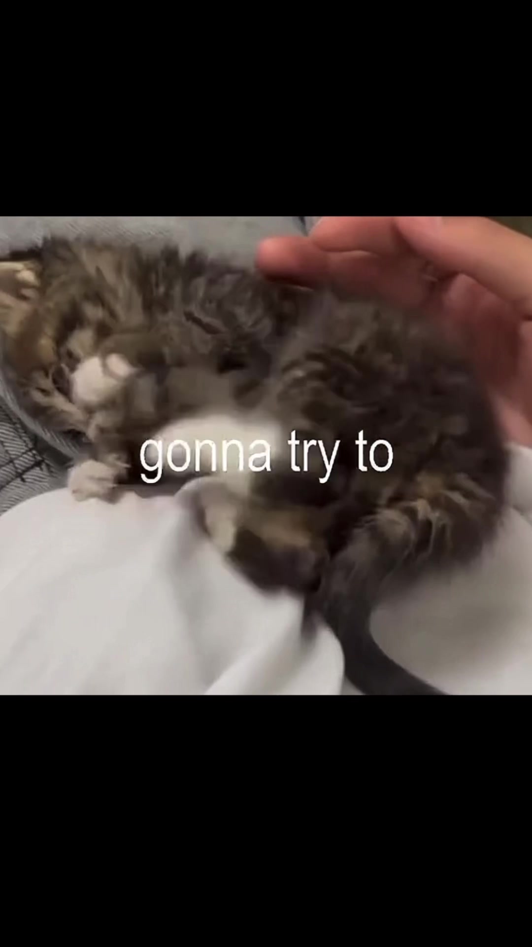 @Sleepy.💤