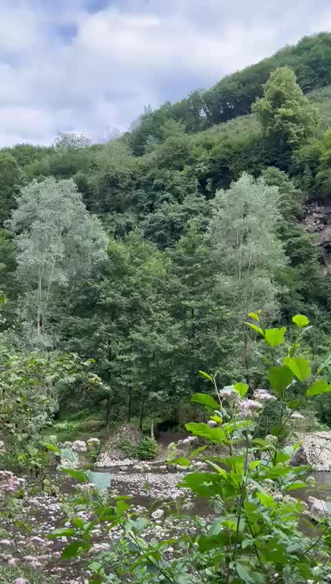 @CAN KIZ52❤️🩹CANAN 💞💕