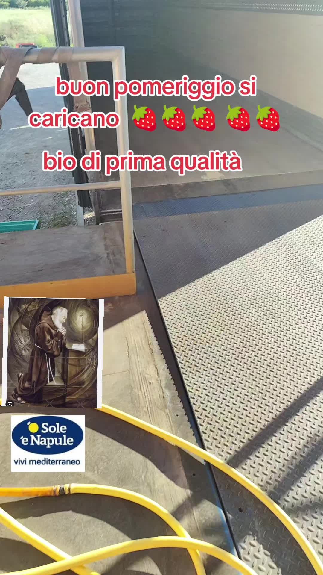 @💞👑espressoCalabria il RIKO👑