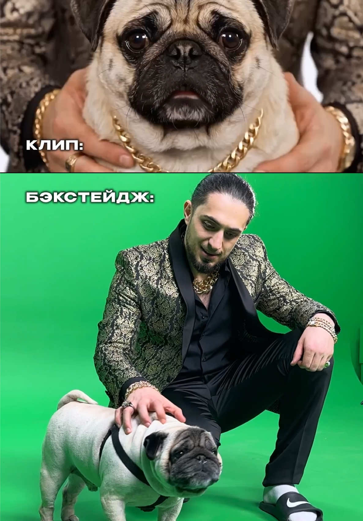 @gazanfan