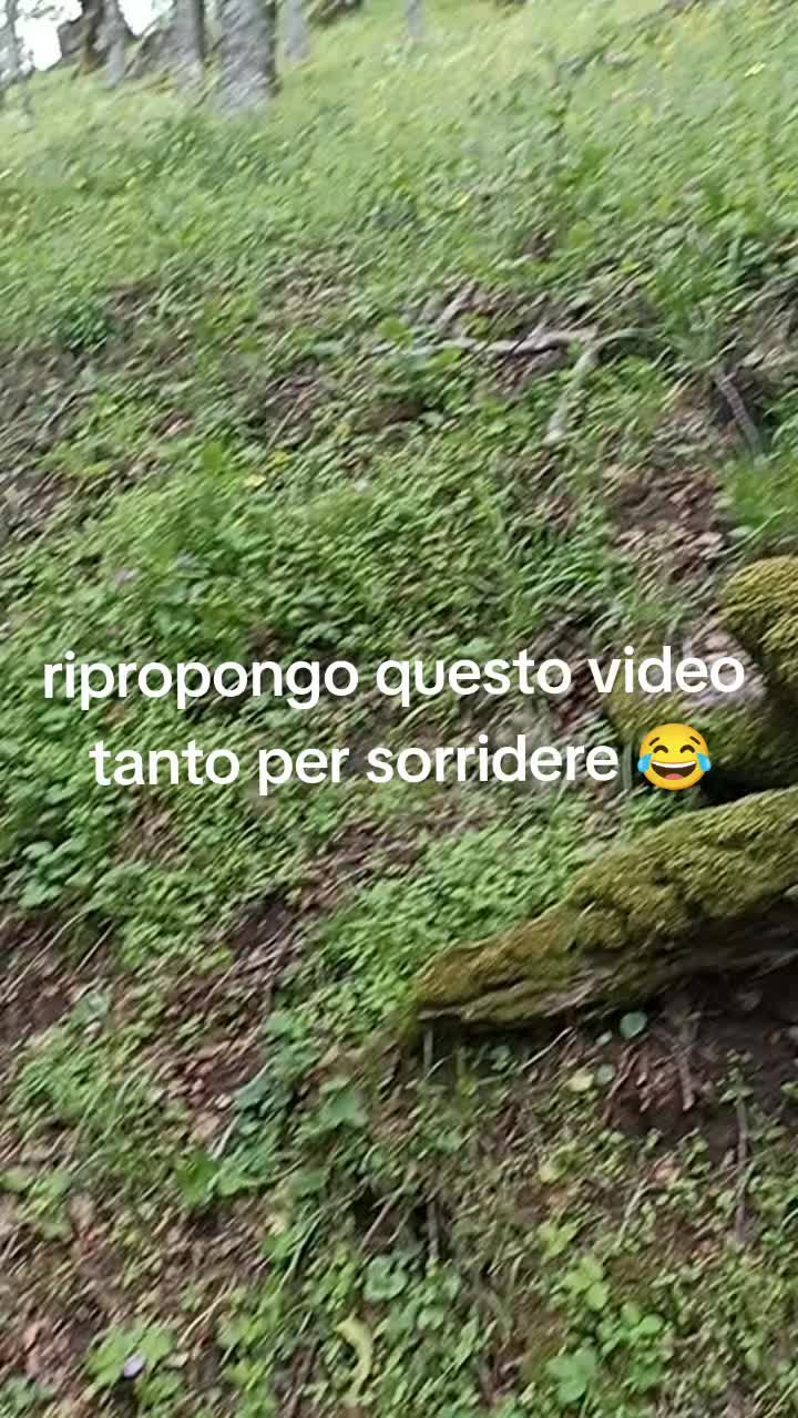 @Antonella Cristaldi