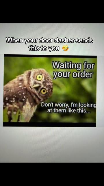 @🫧🐌🌻🐝𝒮𝒶𝓋𝒶𝑔𝑒🐝🌻🐌🫧