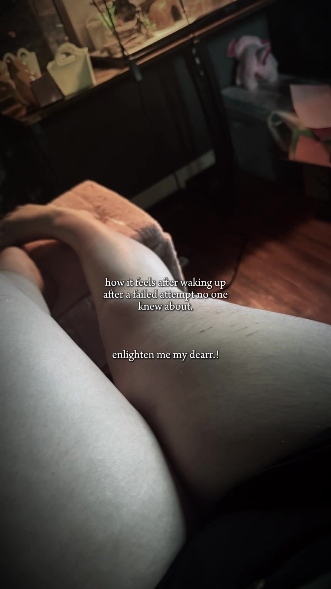 @🦓🐘🐊🐷