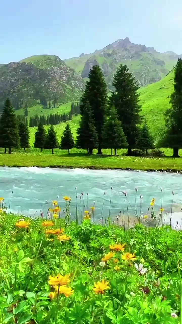@Adil palabıyık