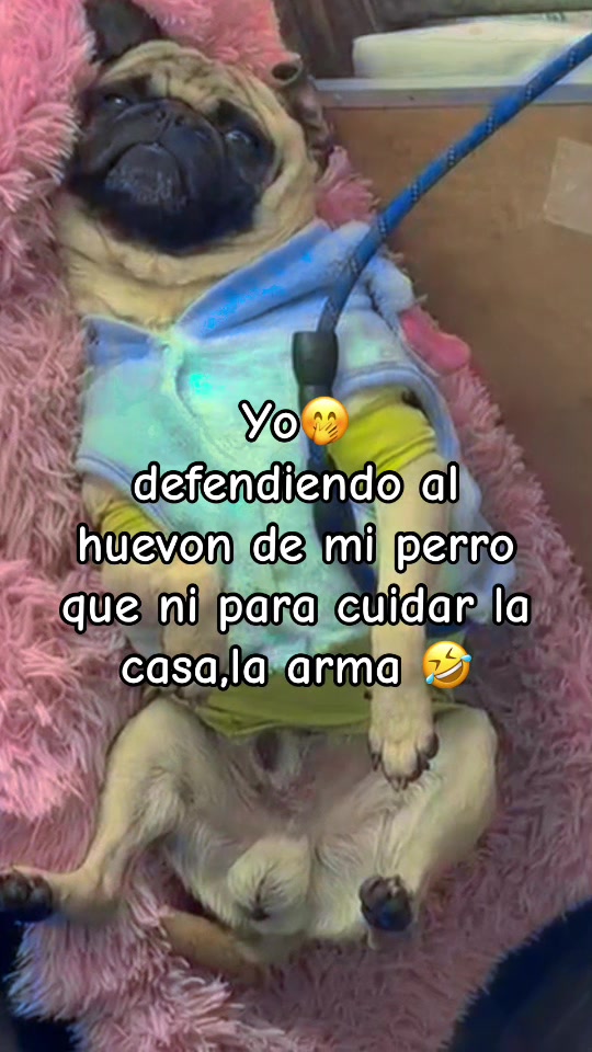 @💗💙Maye🚛💊☕