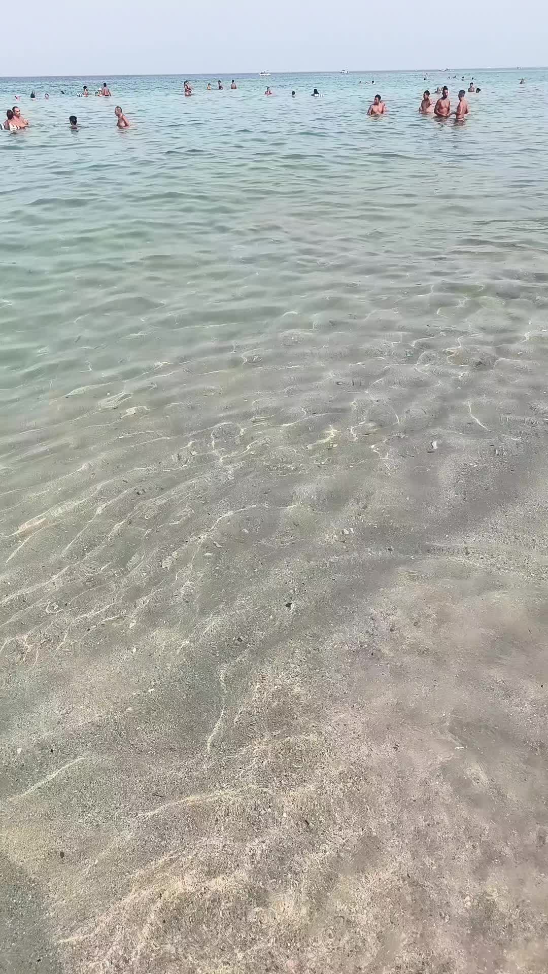 @Annamaria83🇷🇴🇮🇹🦂