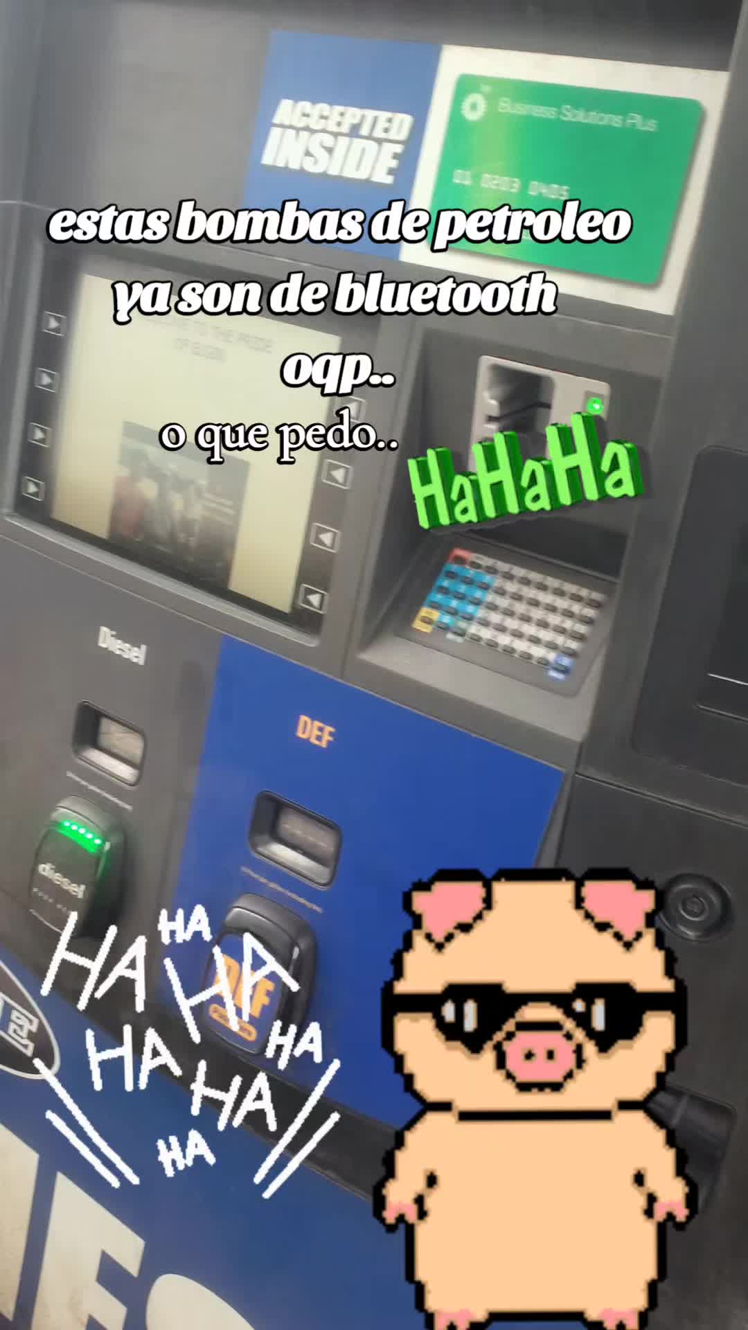 @10-28 oso panda IL