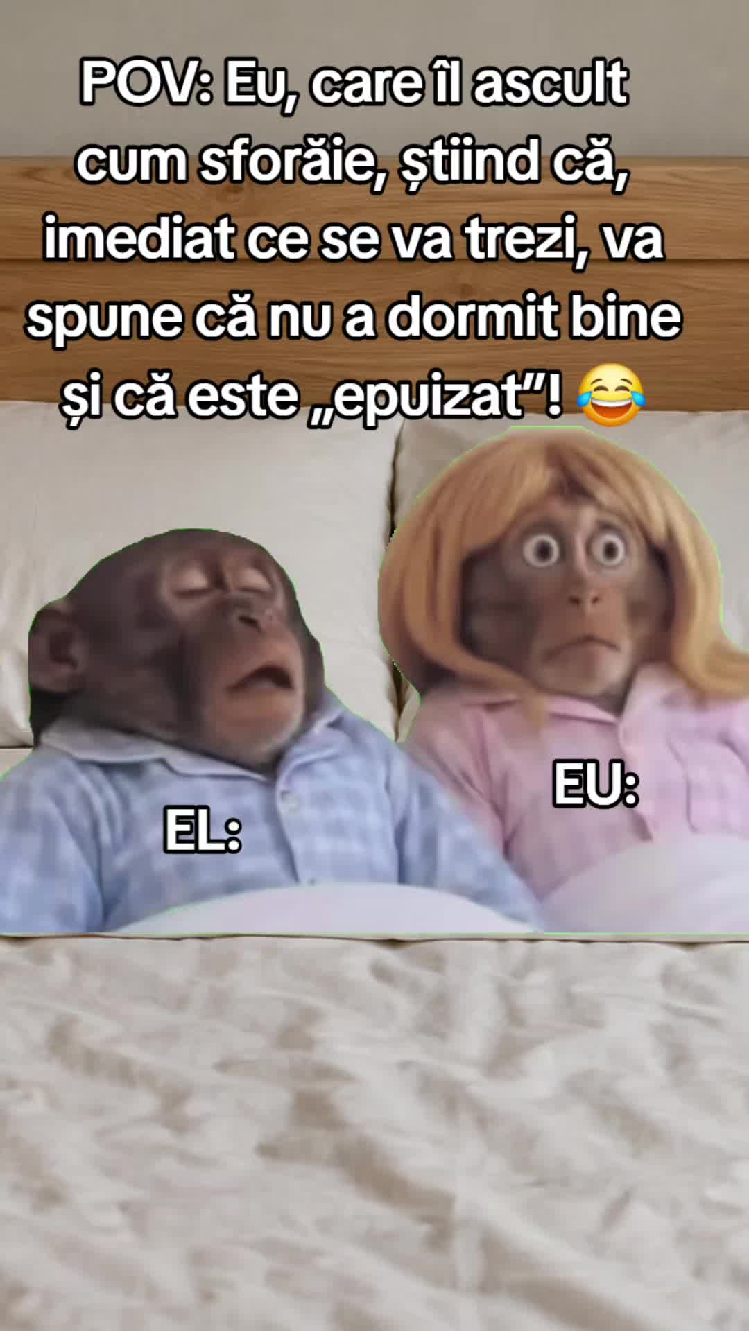 @ank_andreescu867