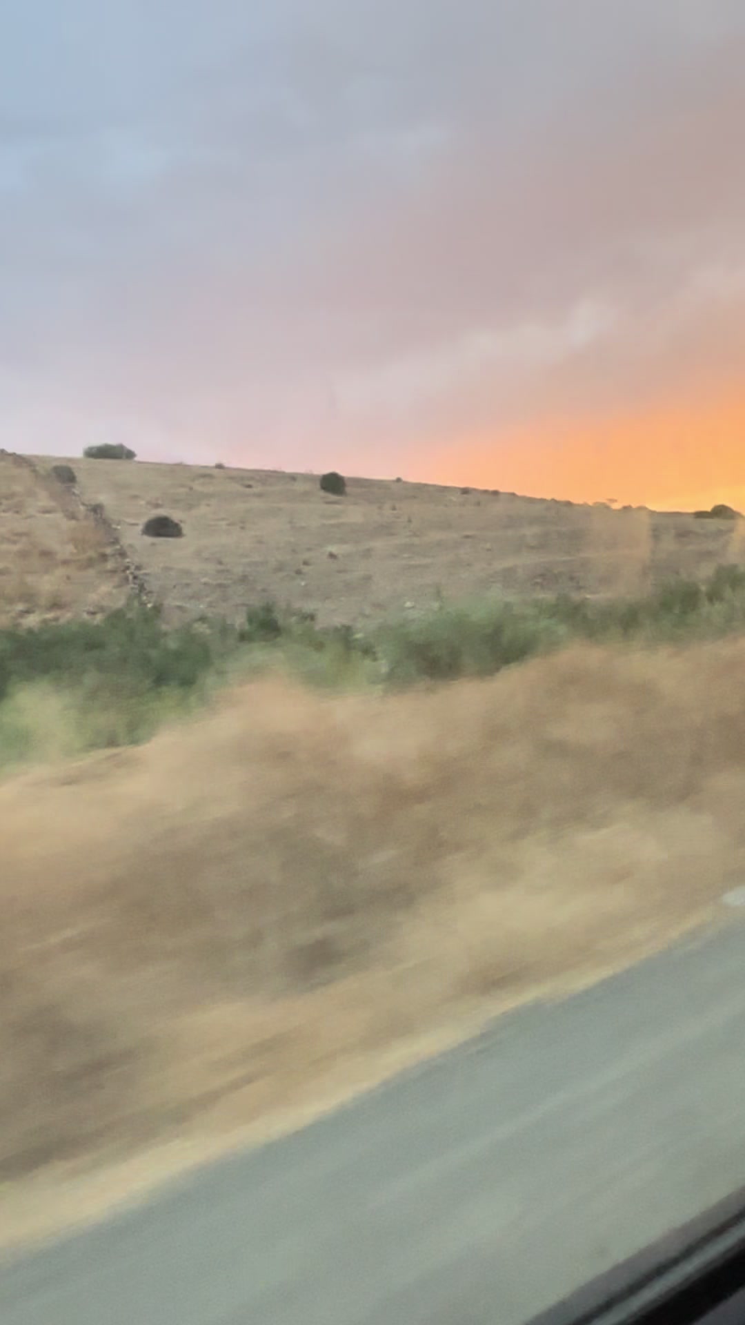 @char9aouia شرقاوية