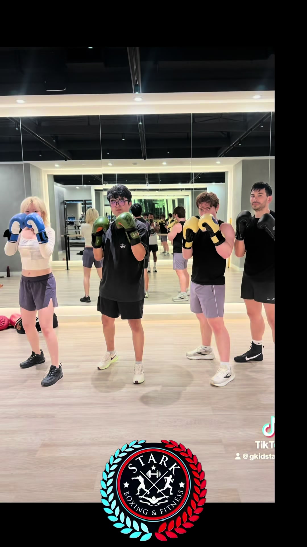 @Kidstarkjr