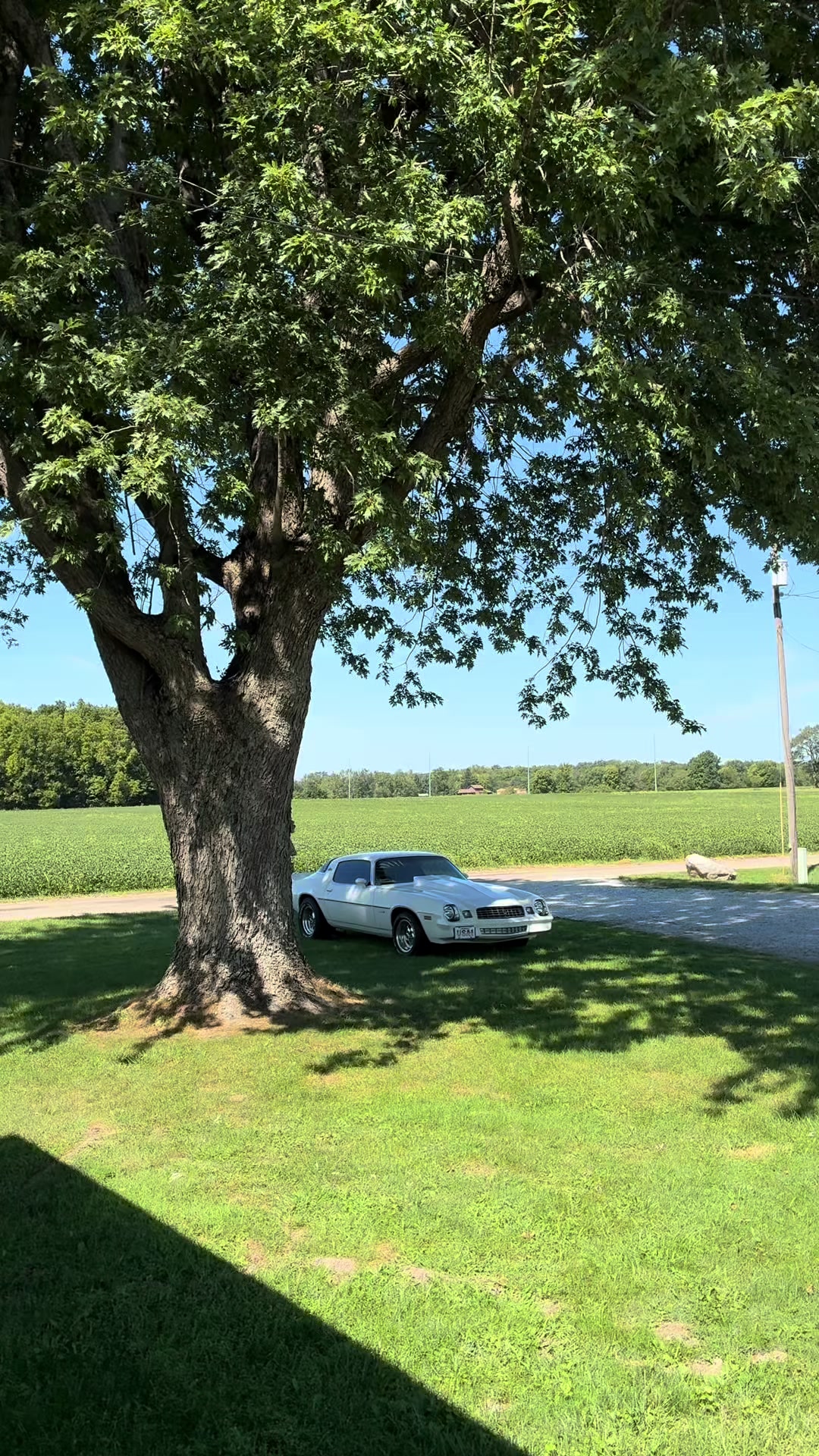 @79_Camaro