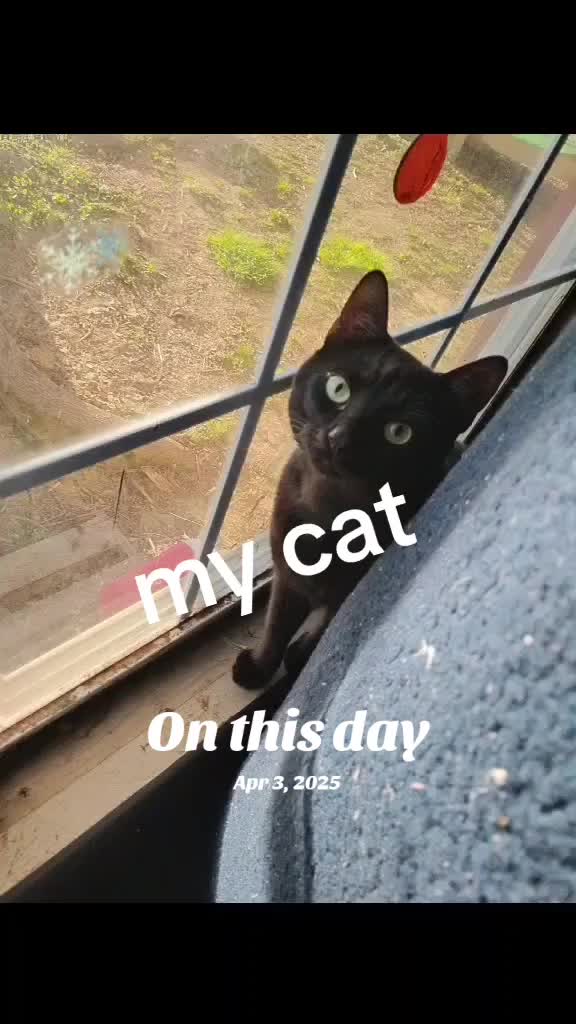@c.c.wolfgirl18