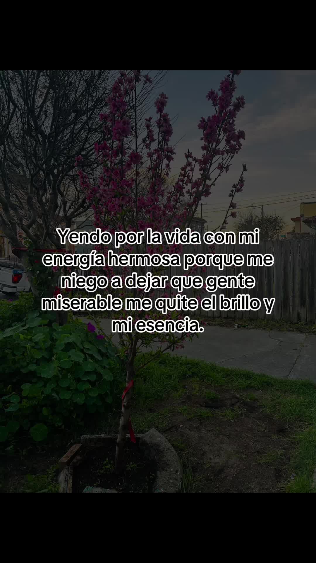 @Solitaria502🥀❤️🥀