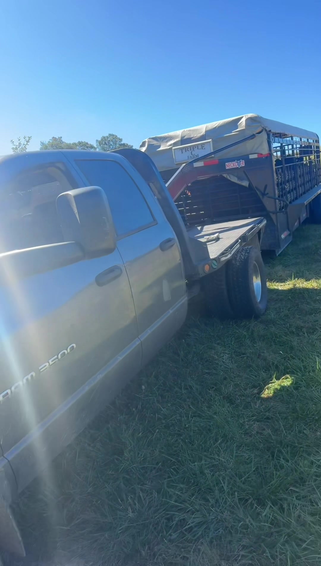 @tripleclivestock