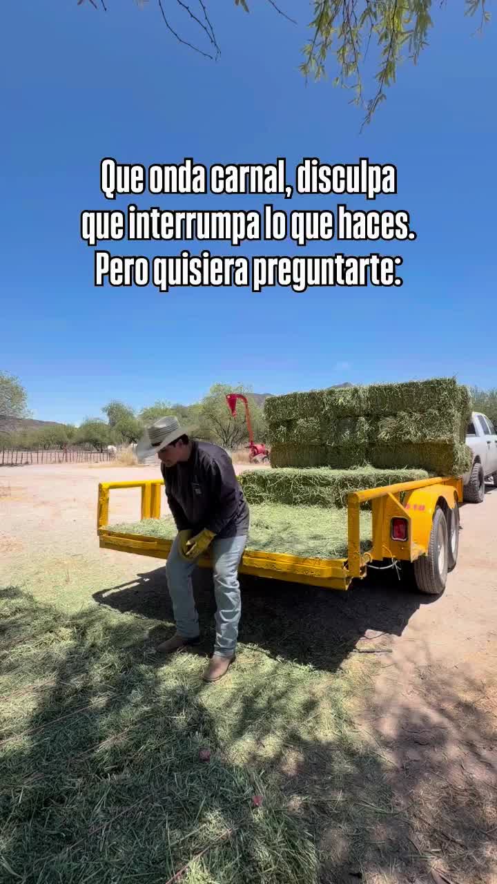 @@jalisco