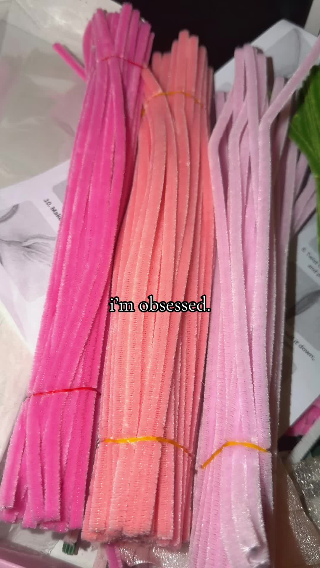 @ry ⋆˙⟡♡
