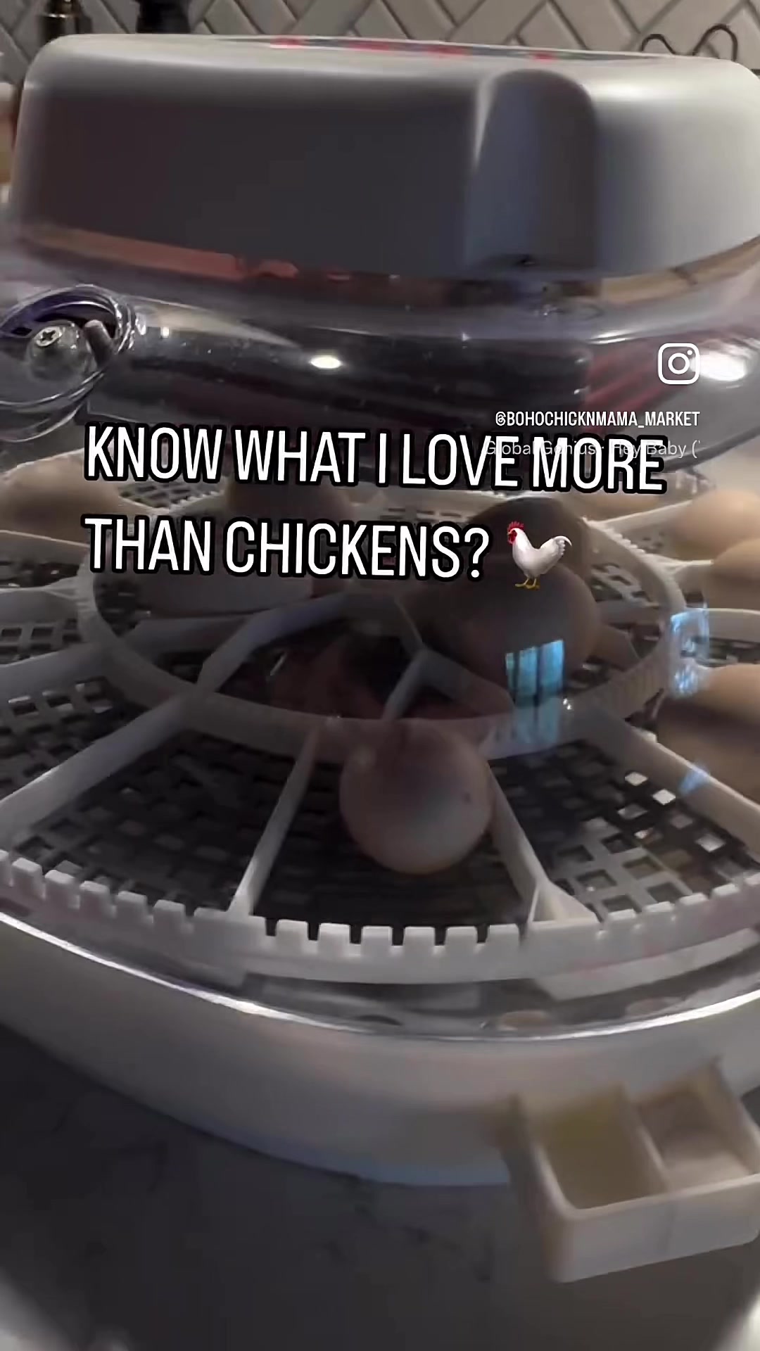 @CHICKTOK