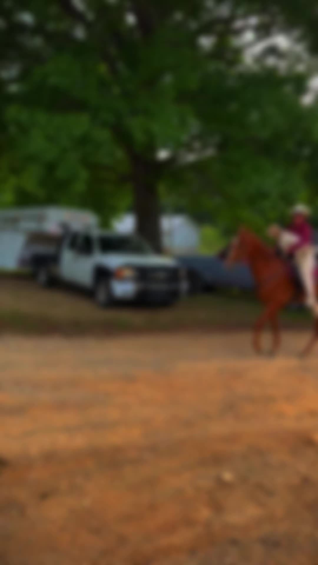 @Chattanooga Carriage Company