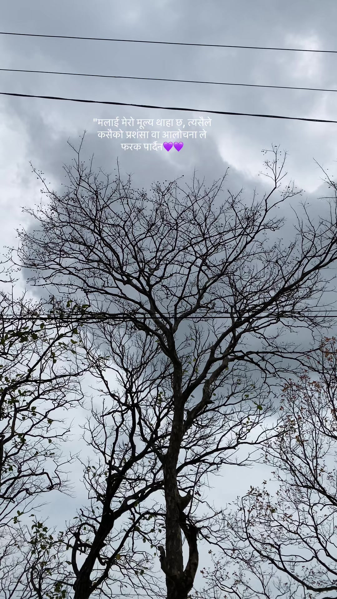 @its__me____ki_shan 💜