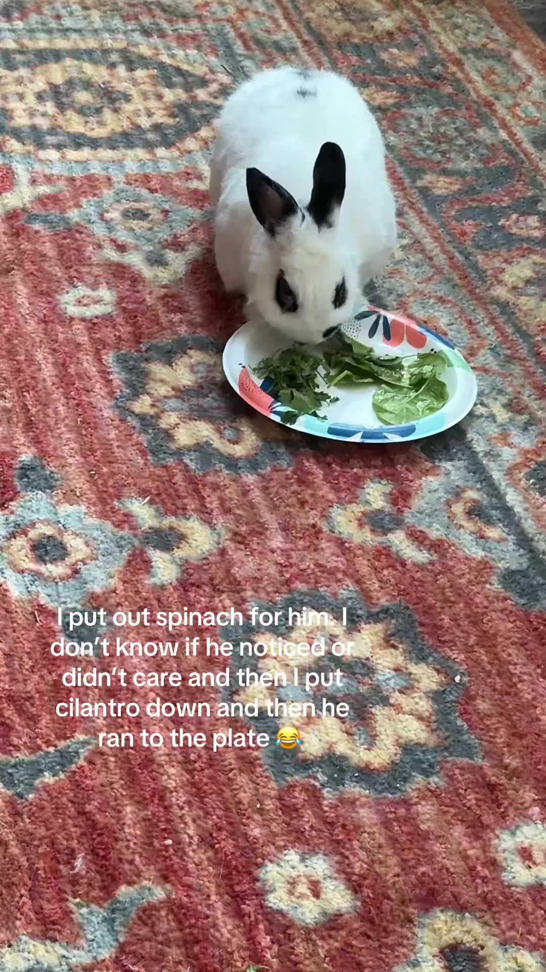 @Chrisdeza08