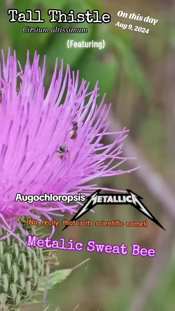 @ThatOKBiologist