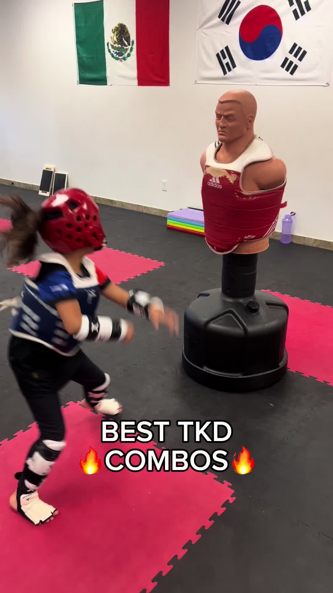 @lobos.taekwondo