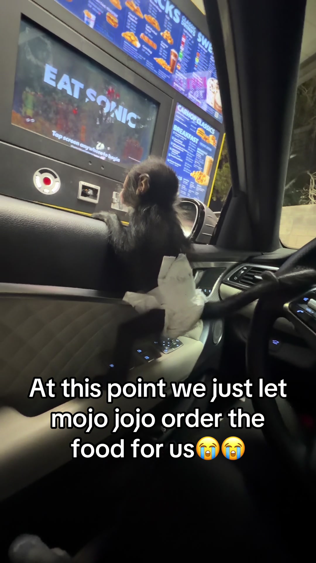 @OJTV & Mojo Jojo🧡