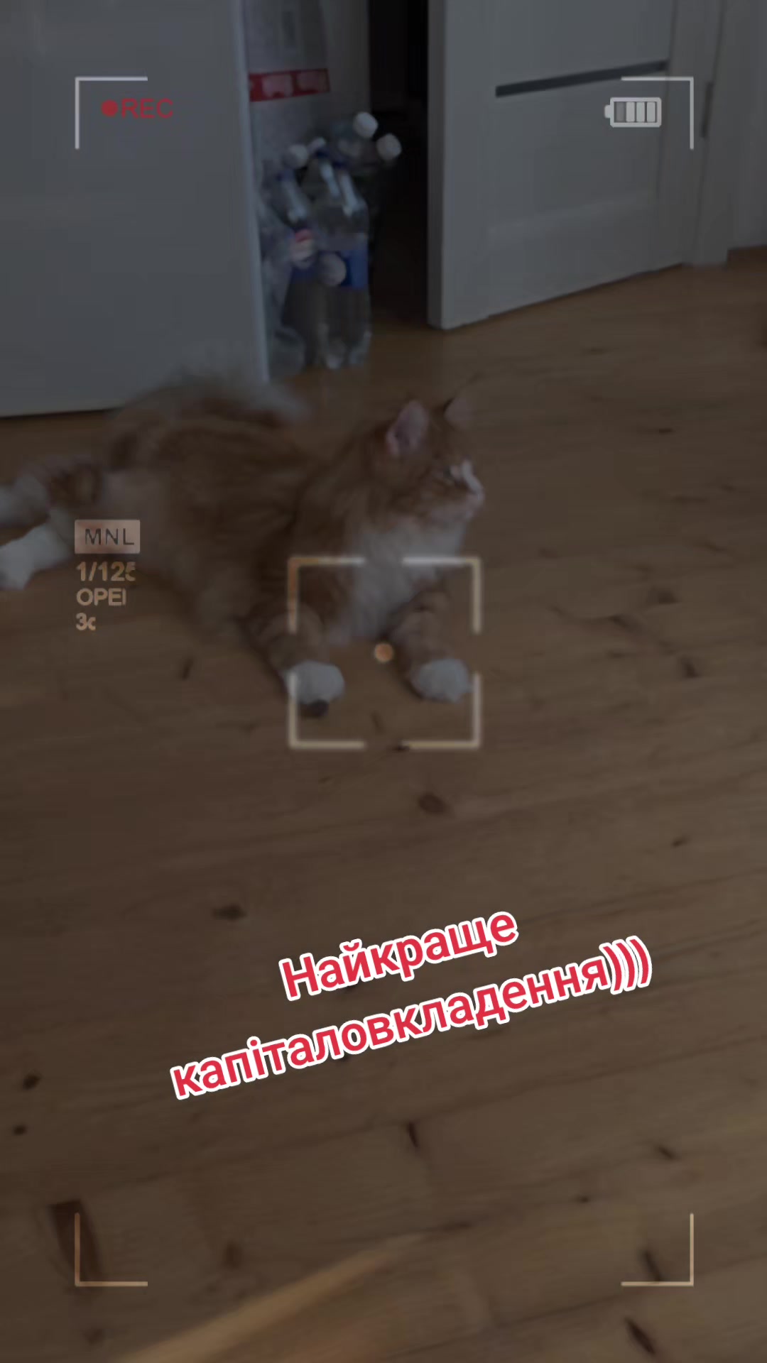 @Олена Губа
