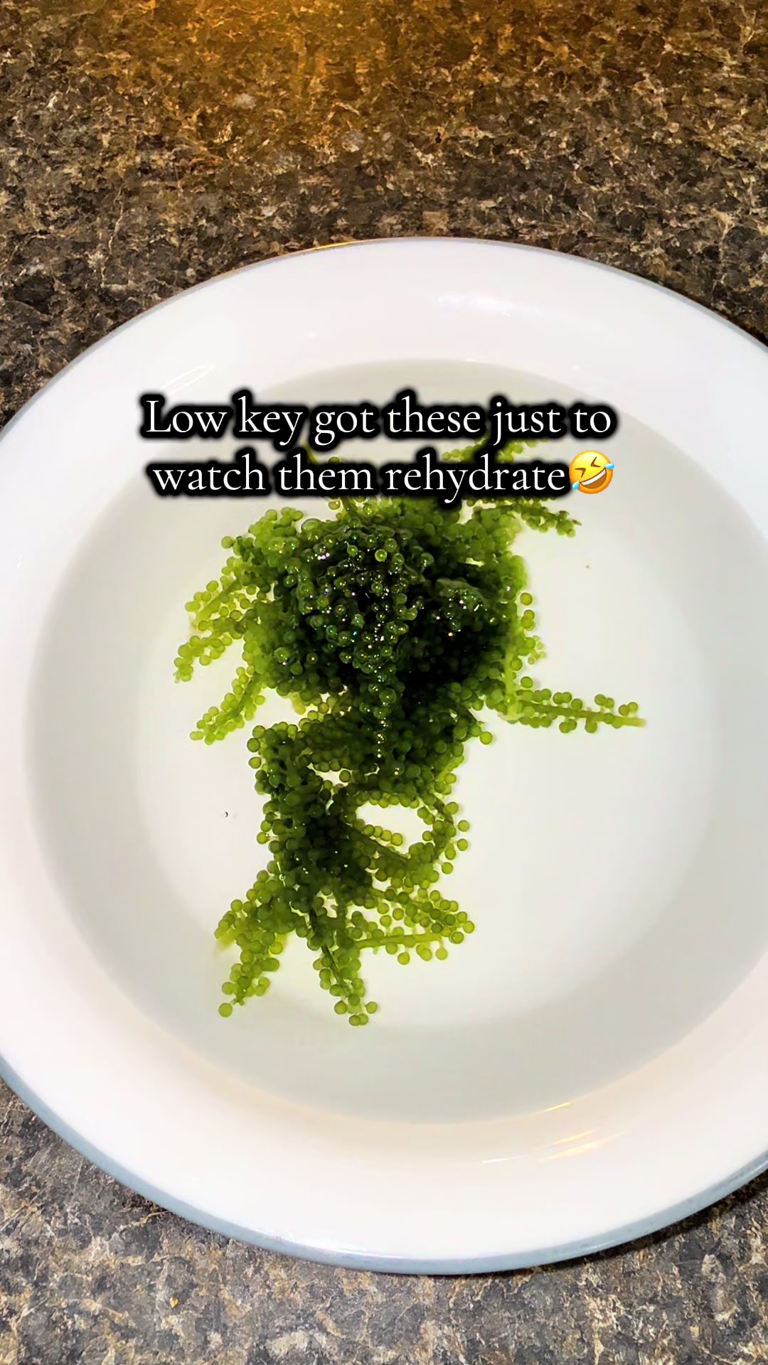 @alyssa โก๏ธ๐ค