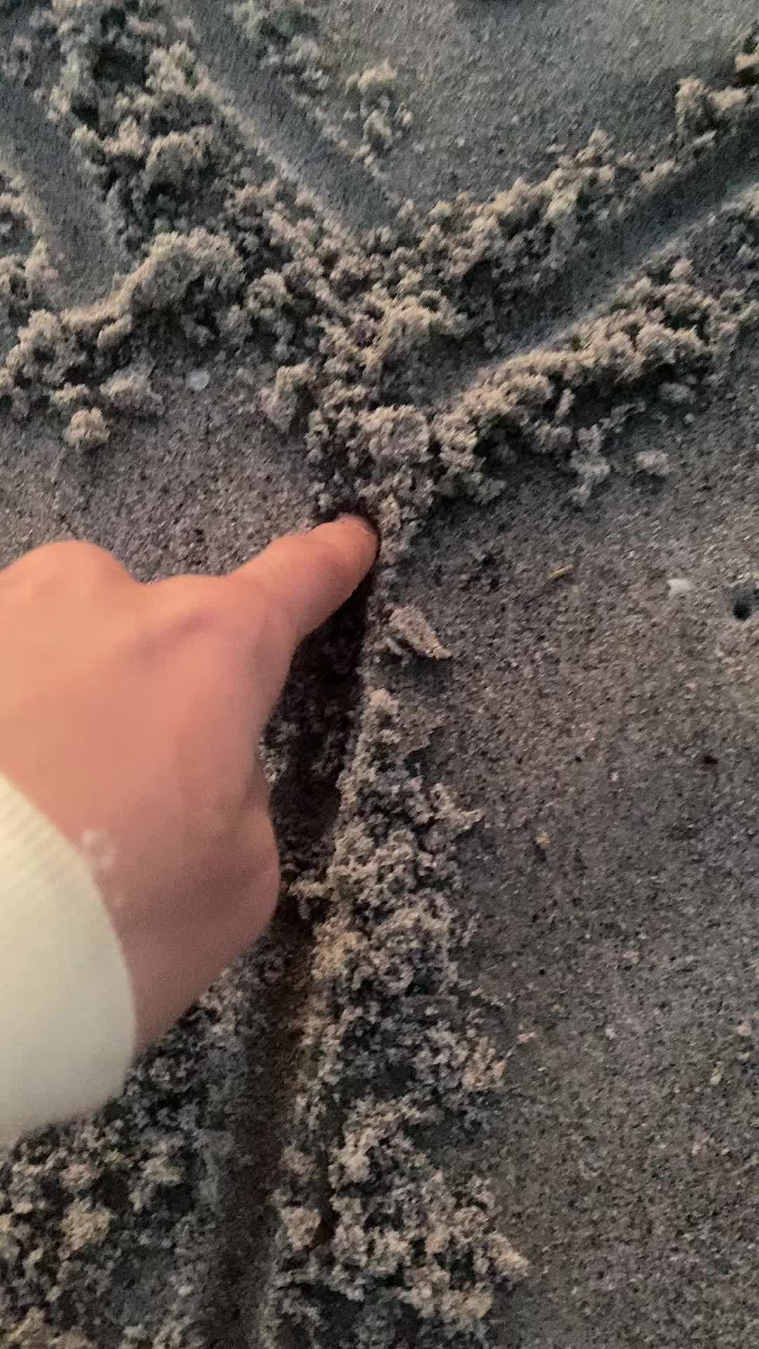 @shiestytomuch