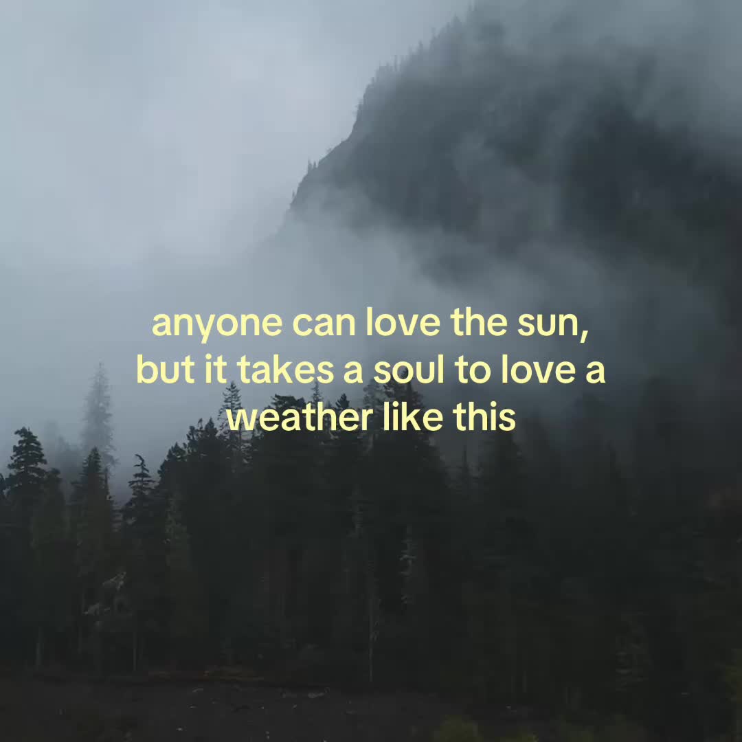 @mrdaylightman