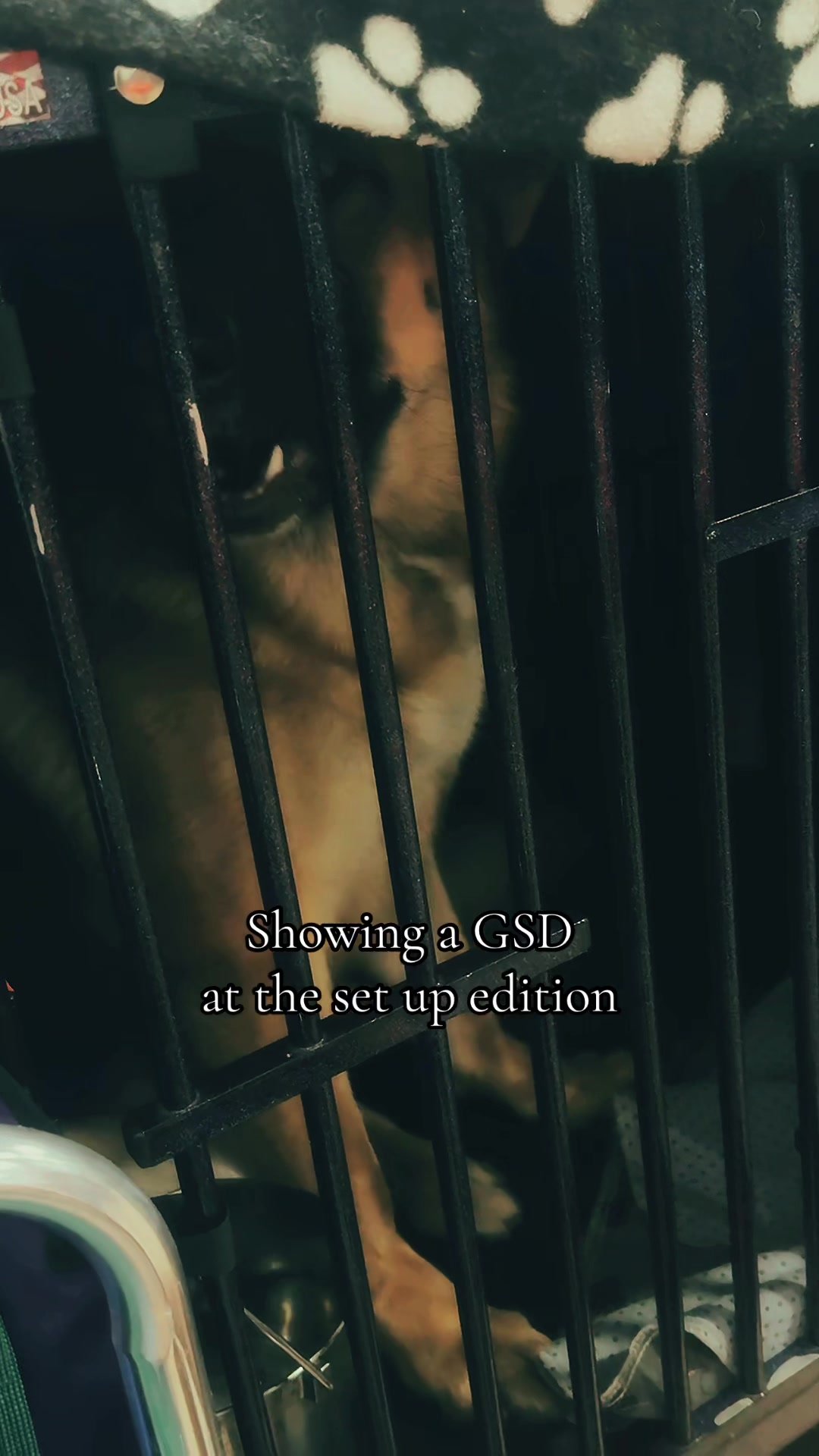 @Macabre