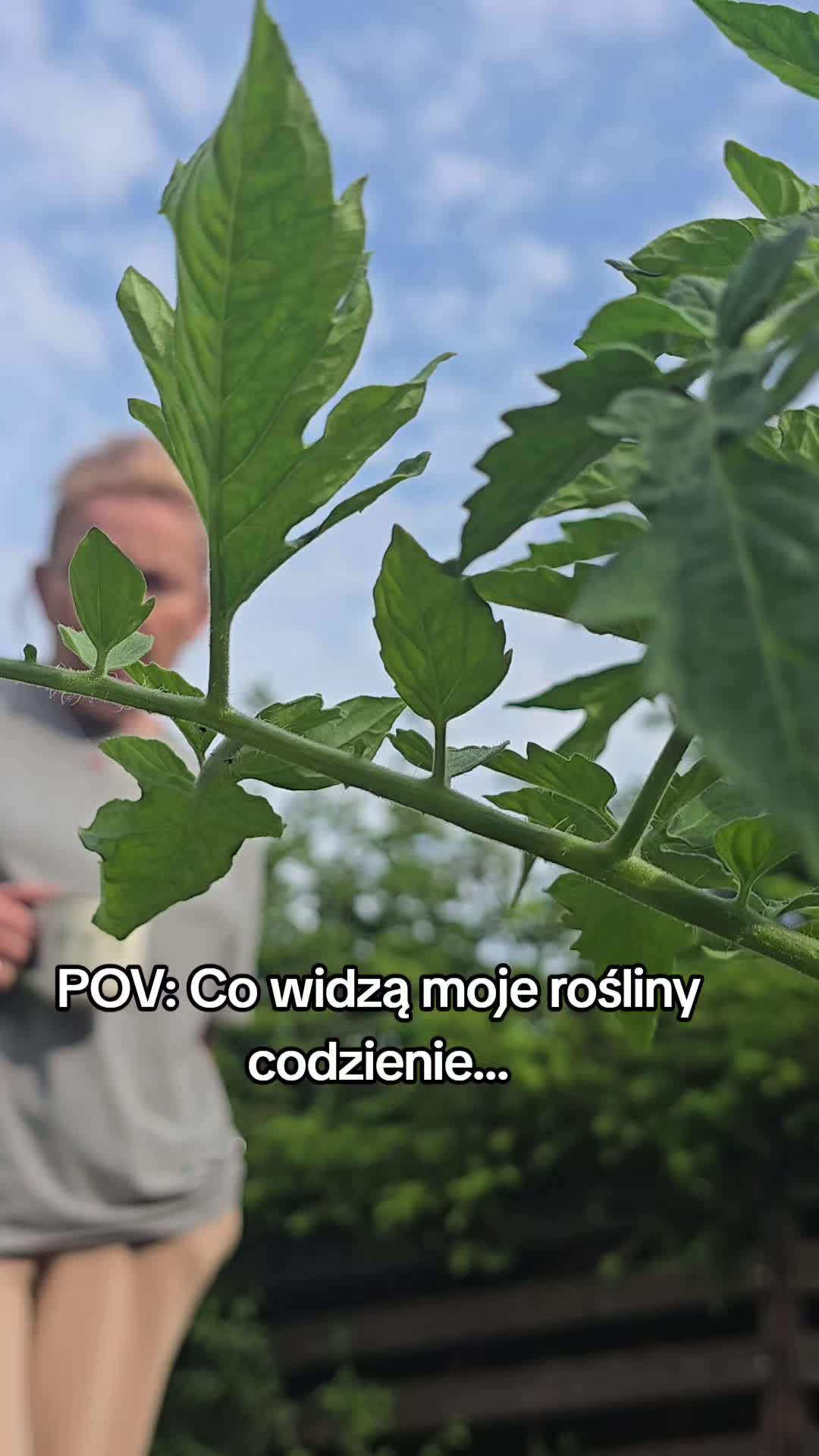 @Sylwia