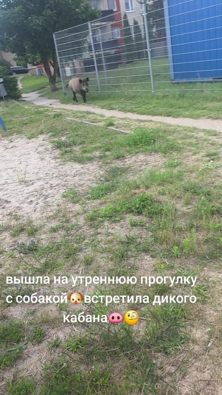 @Оле4ka🪆Olga