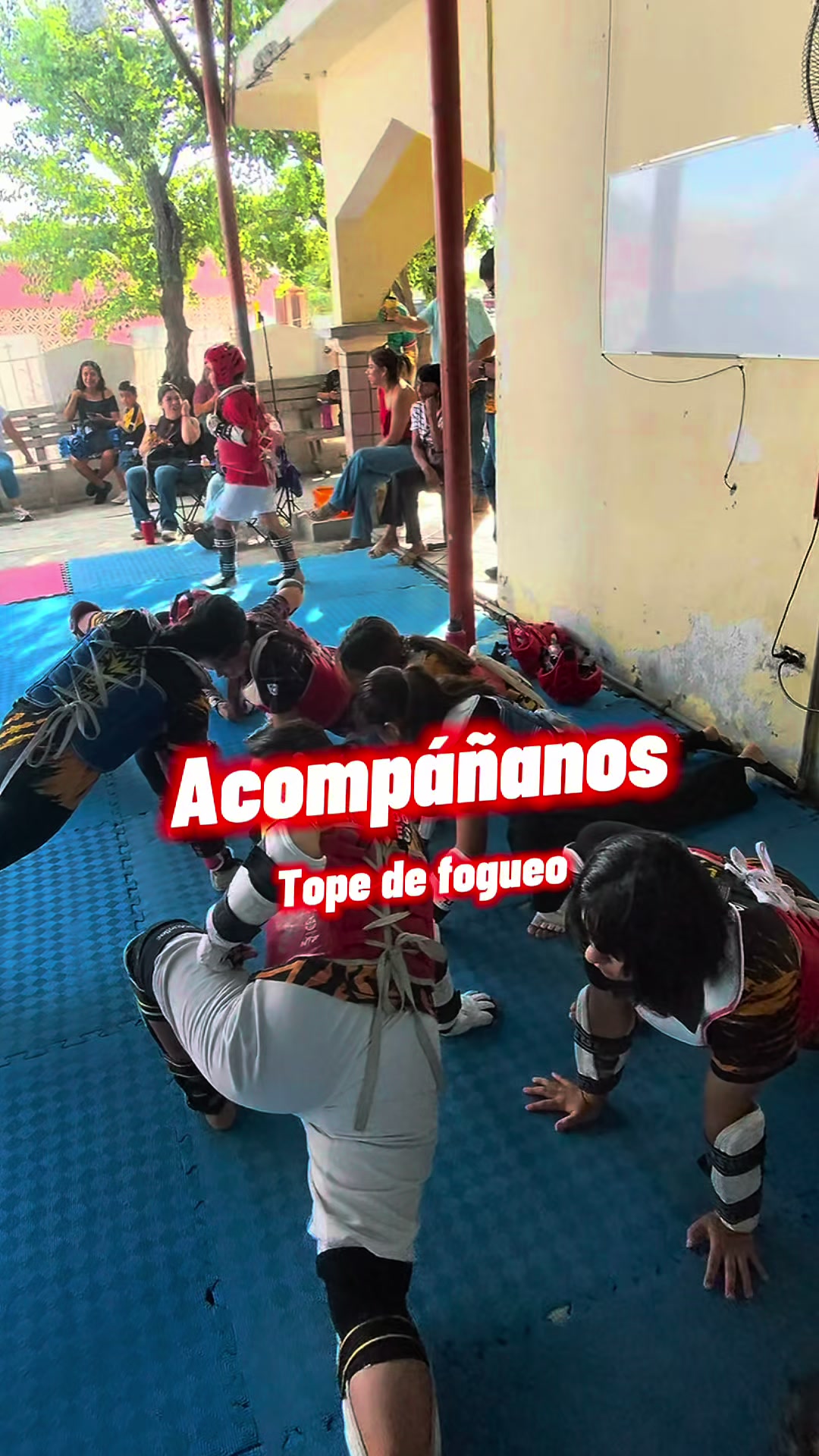 @taekwondolionsteam