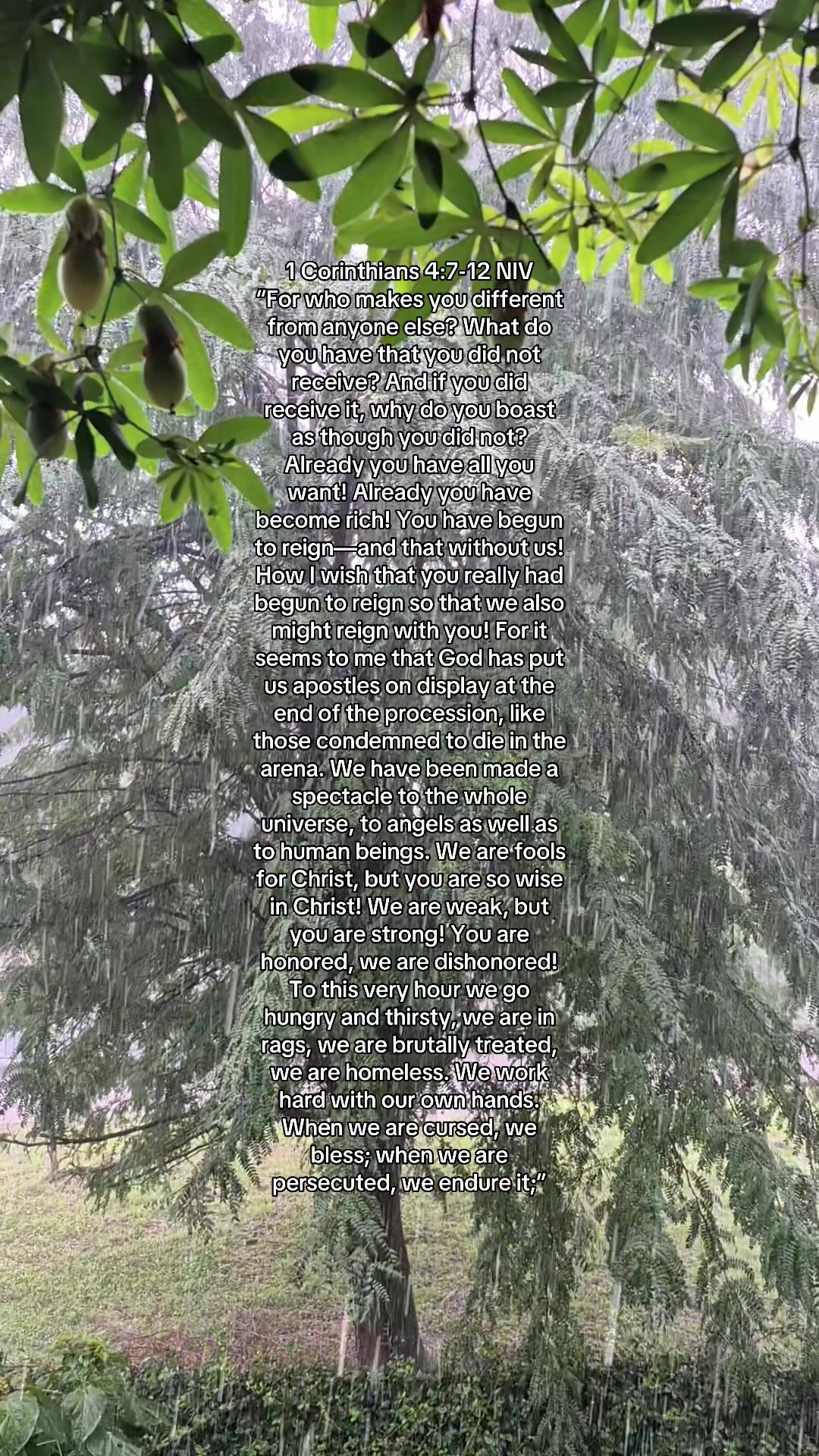 @Jesuslover2154