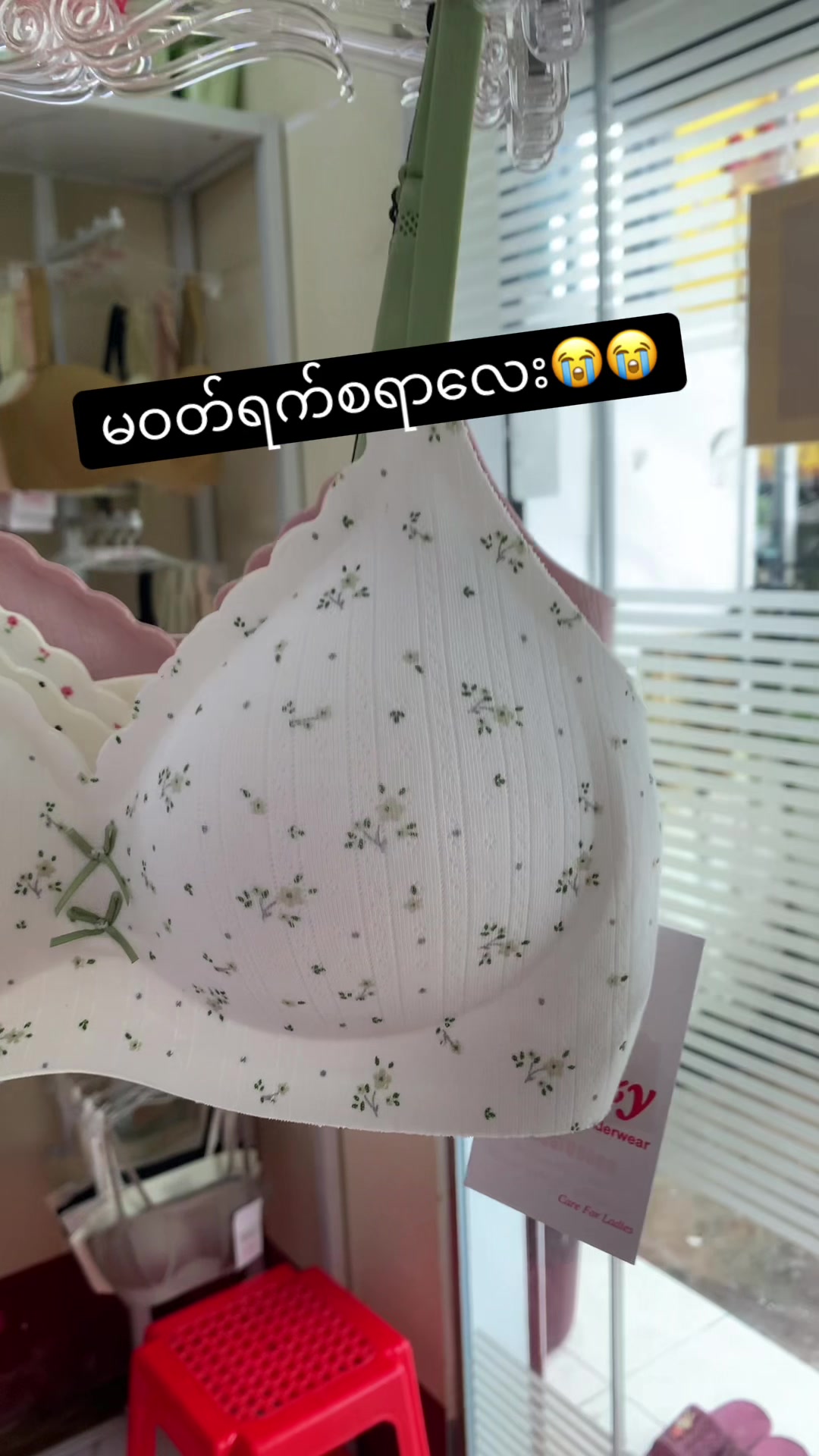 @Cozy Bra and Underwear 👙