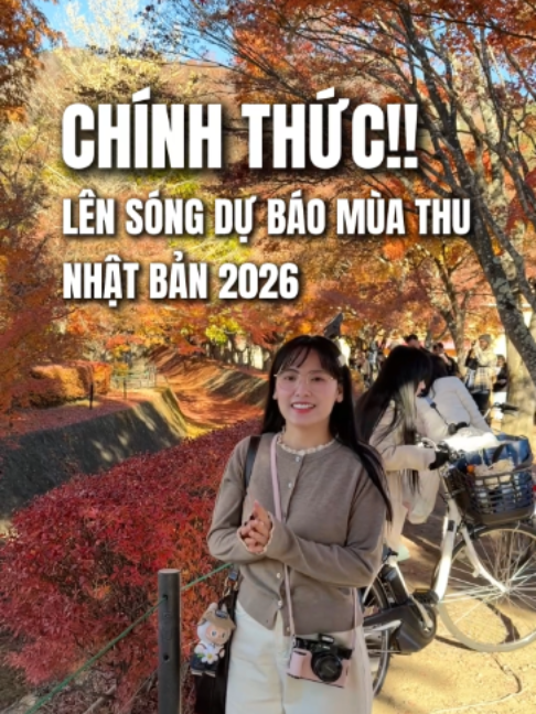 @Đi Nhật Cùng Nhâm