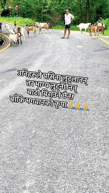 @jivan bhandari