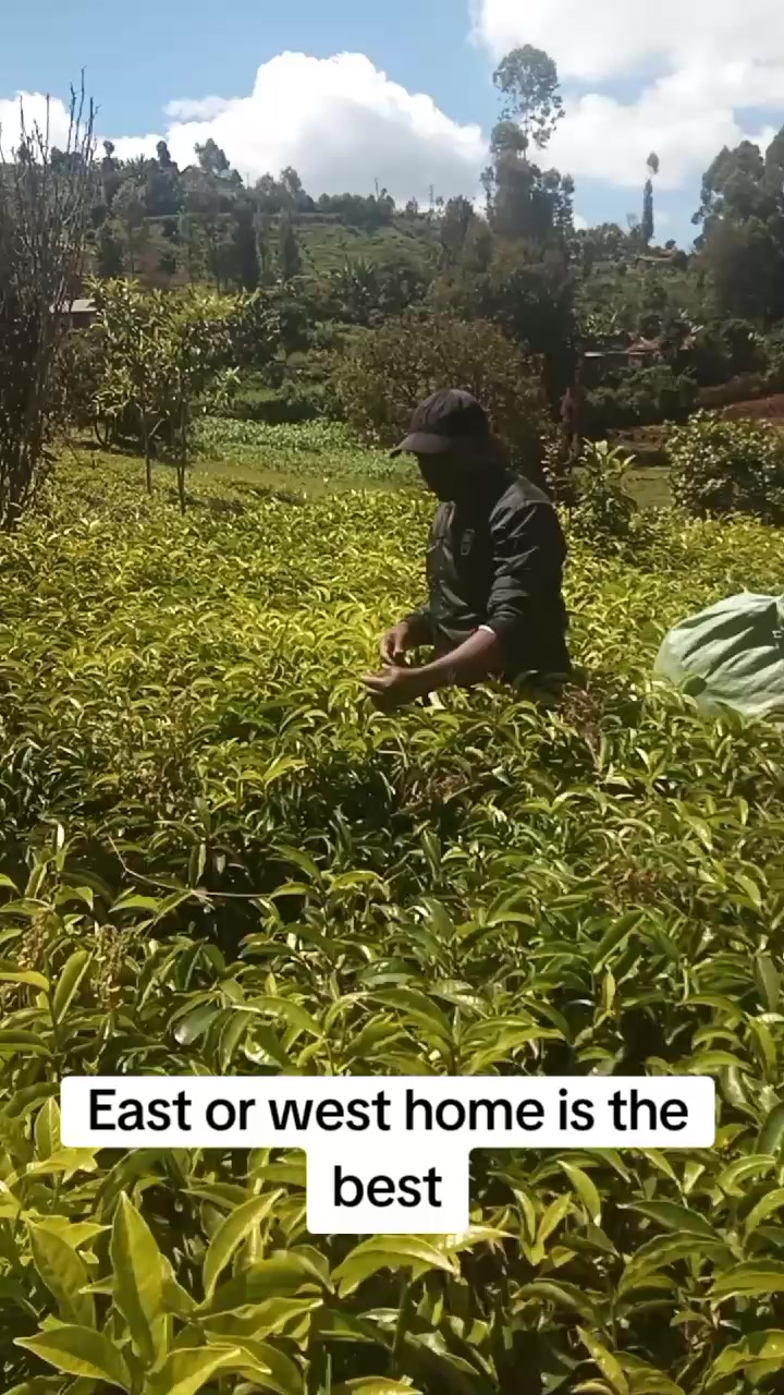 @Gatitu wa kimani juma