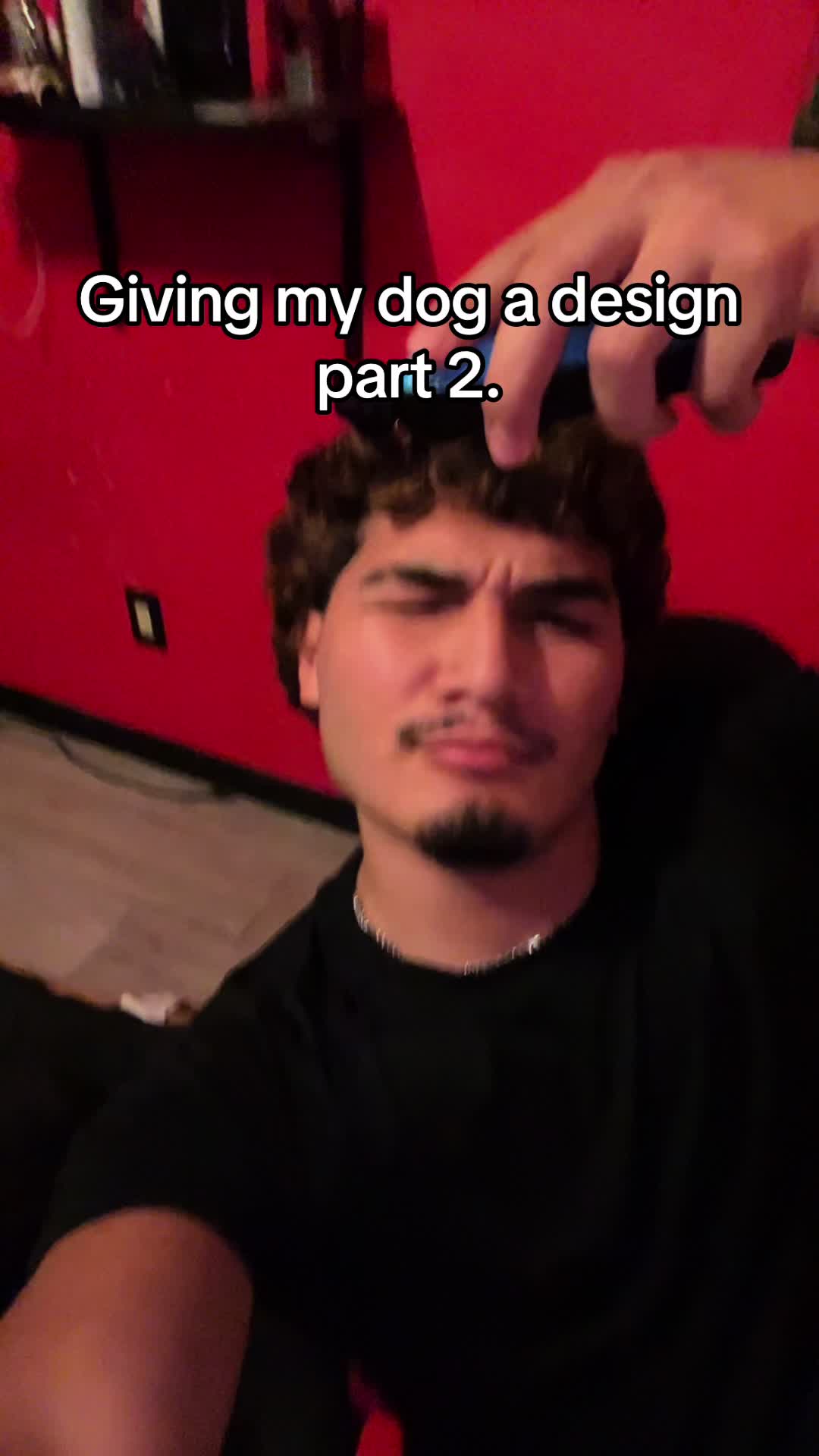 @angel