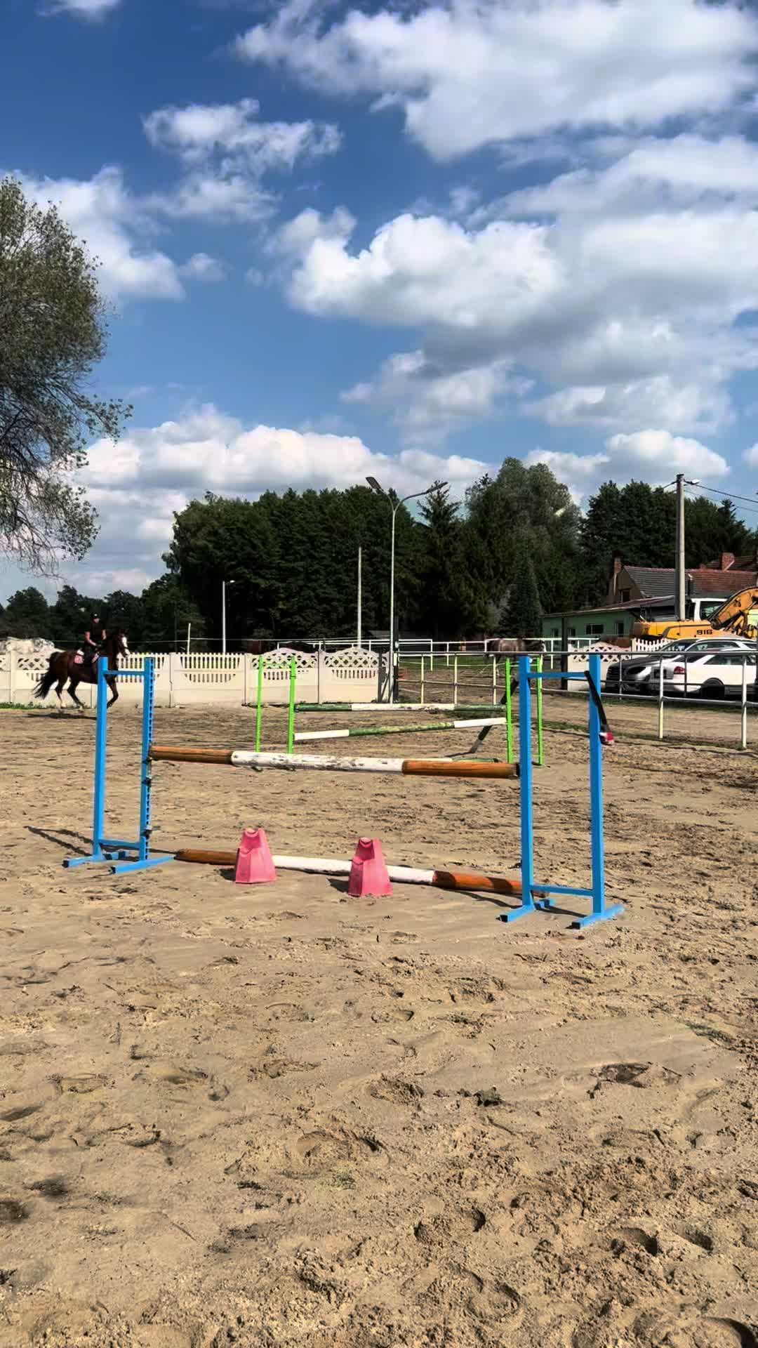 @Kinga Dzikowska