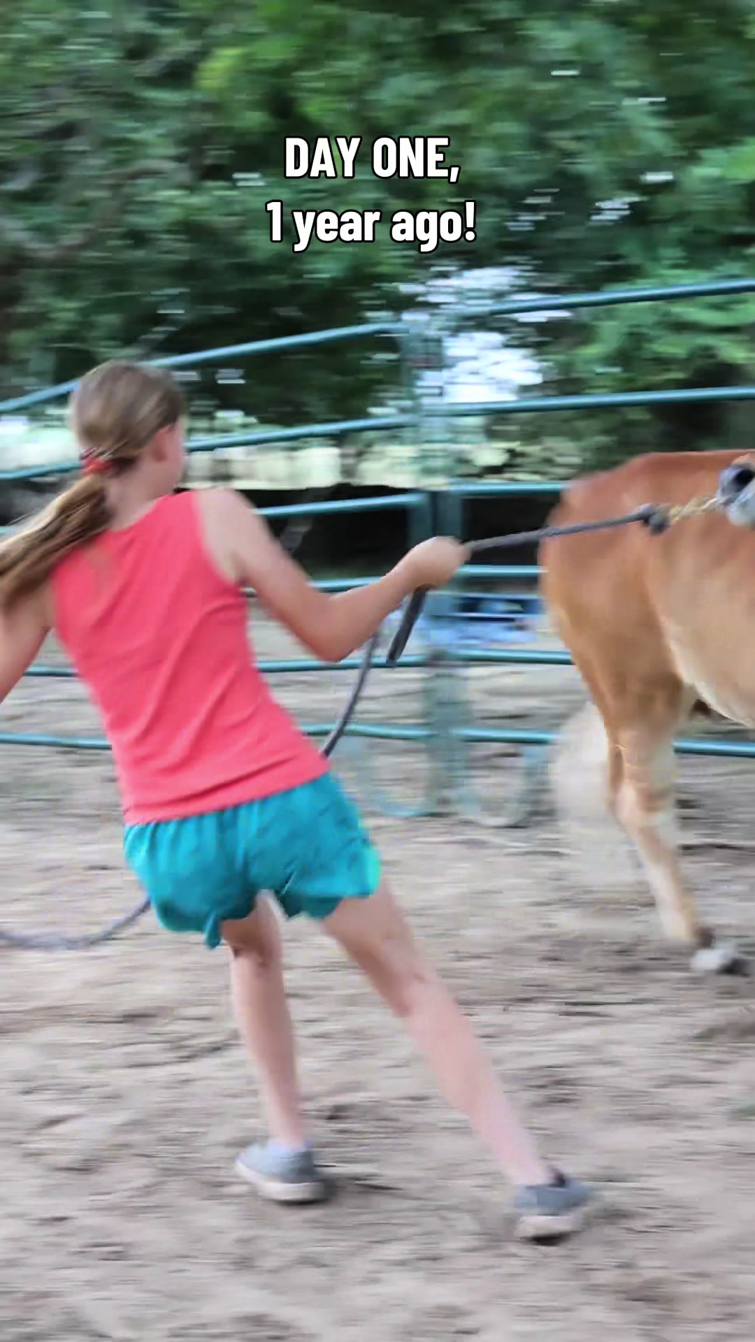 @The V6 Ranch