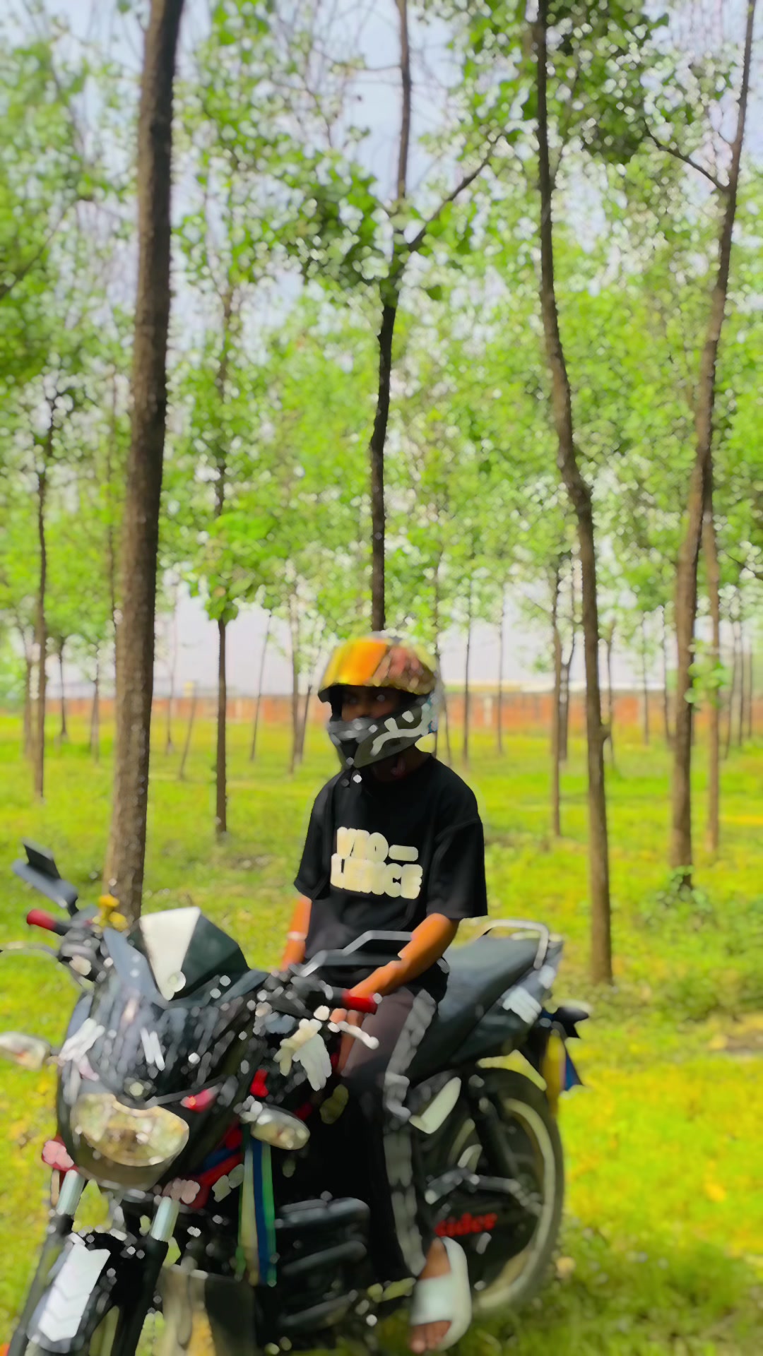 @๐ฑ๏ฃฟ pulsar &shibuuydv46๐ฑ๐๐ญ