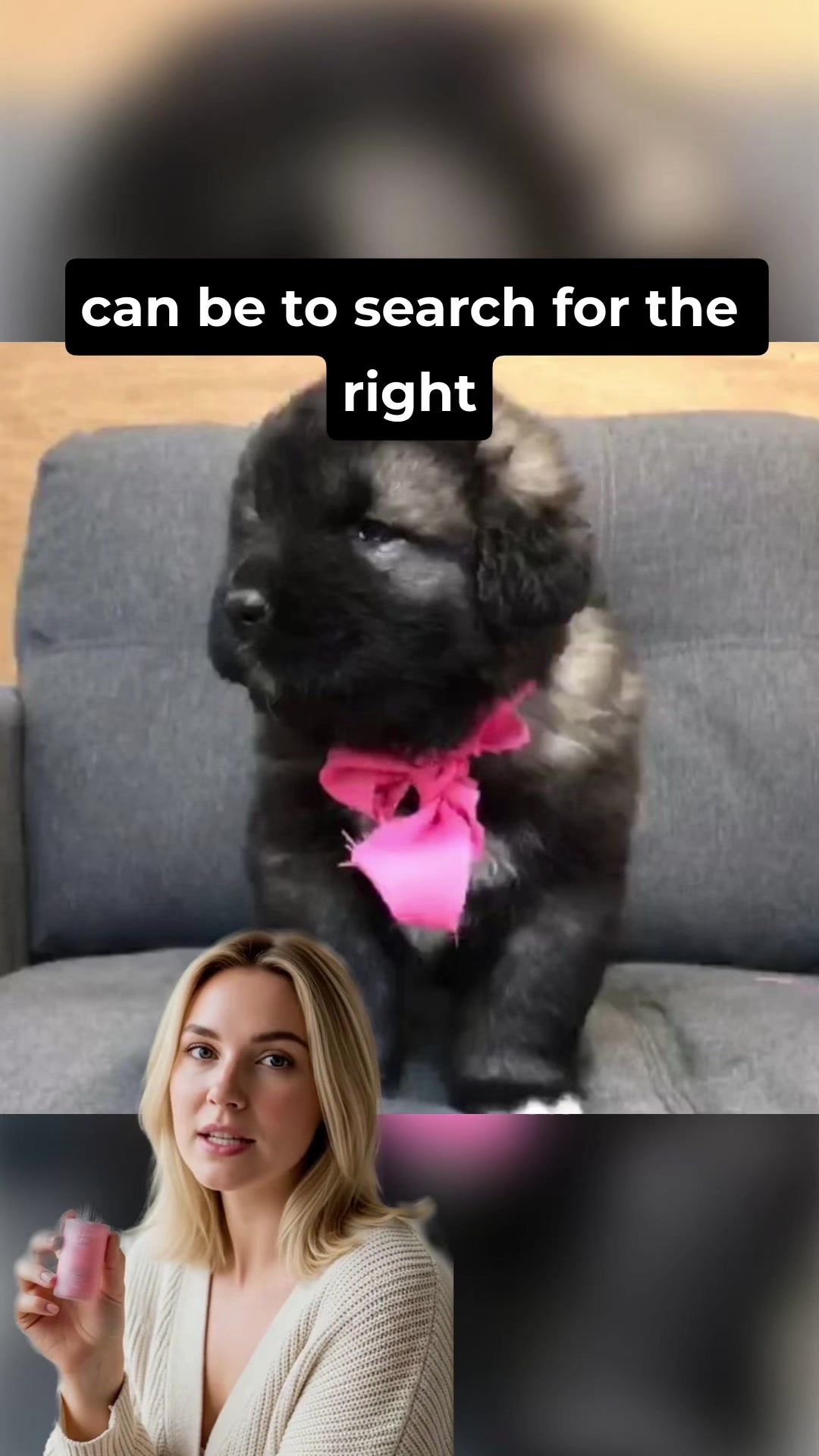 @Ultimate Puppies