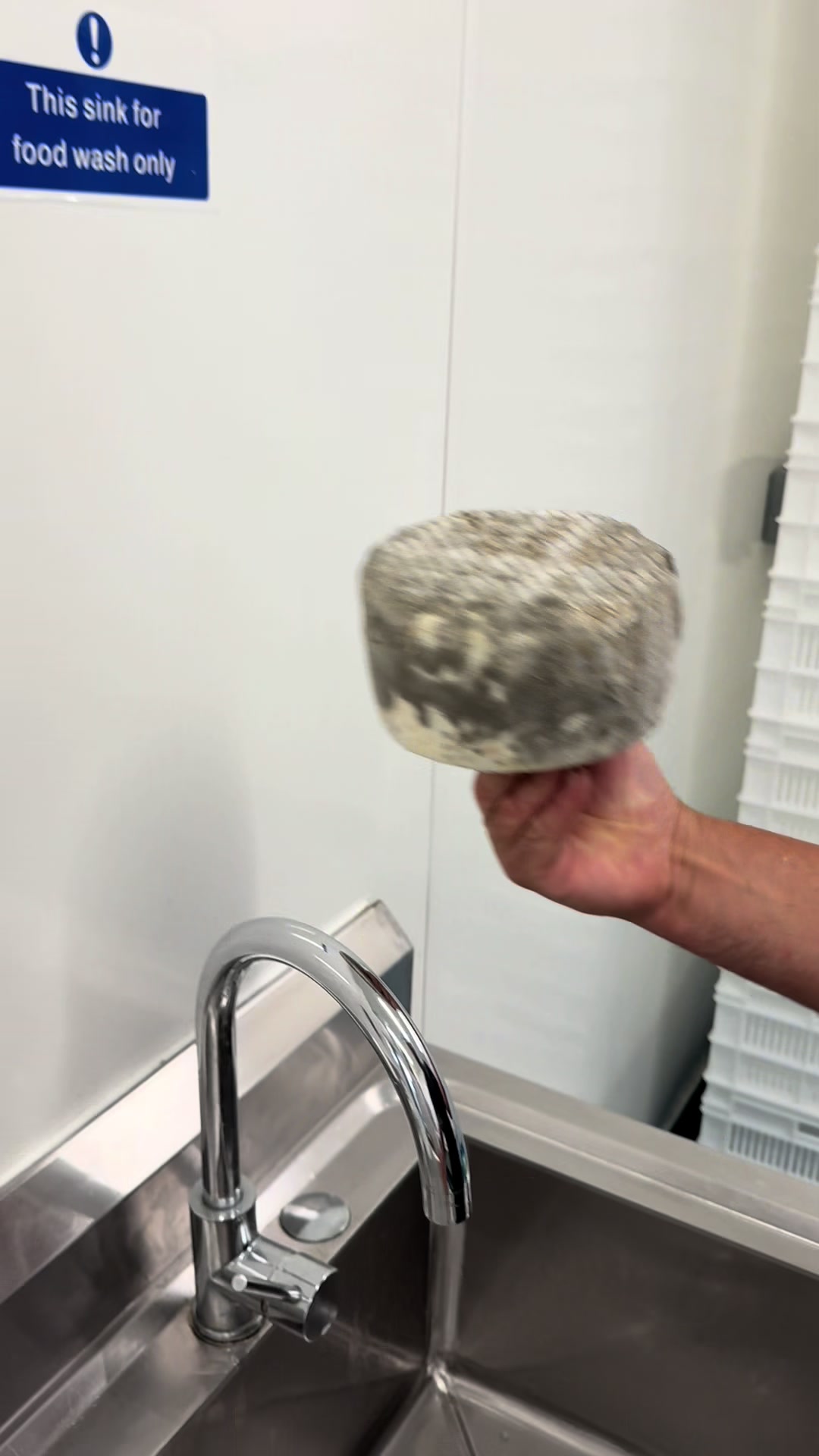 @Yorkshire pecorino