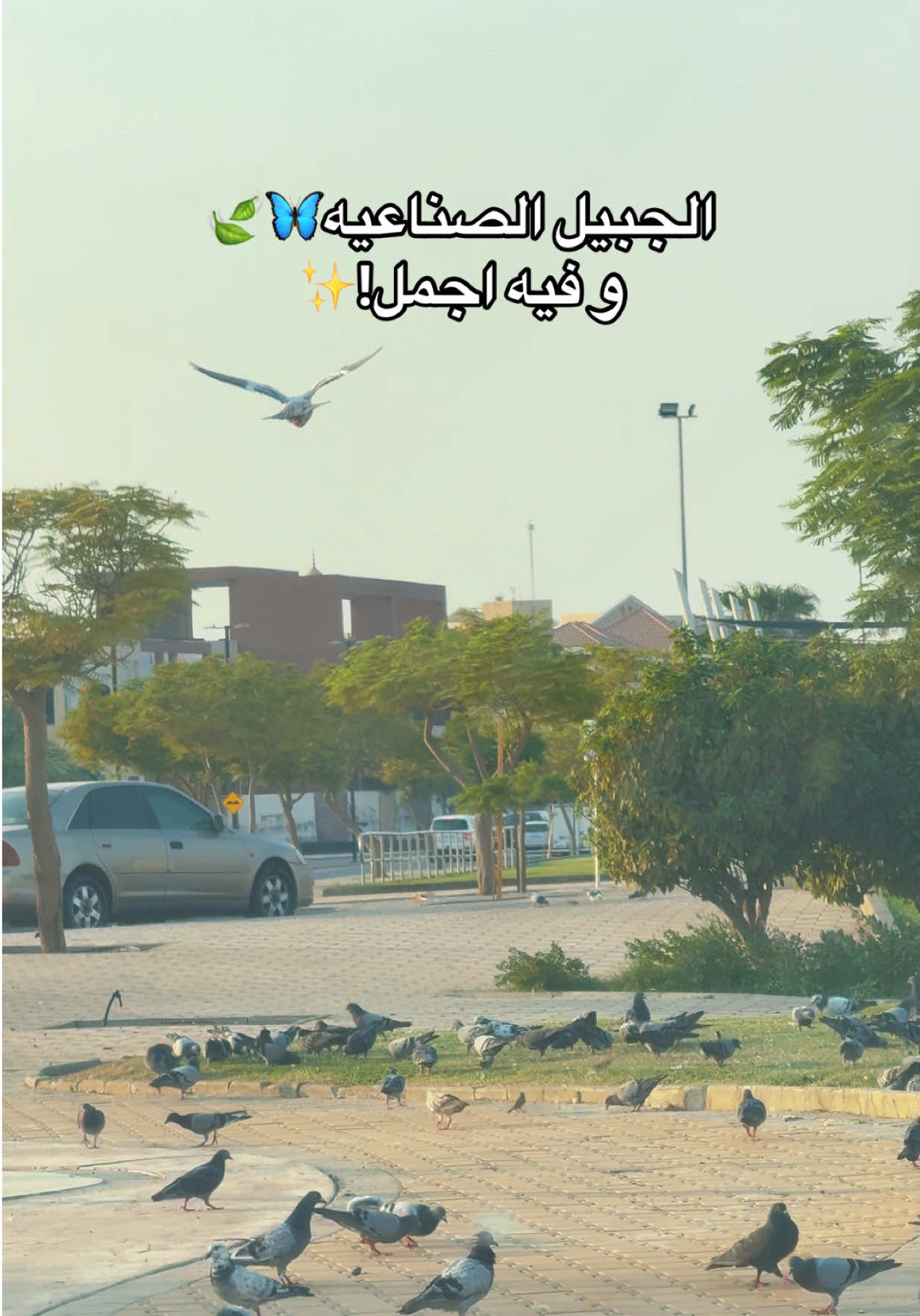 @ميشان دوت&bull;⭐️