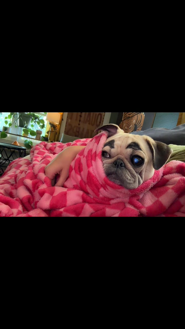@babycookie