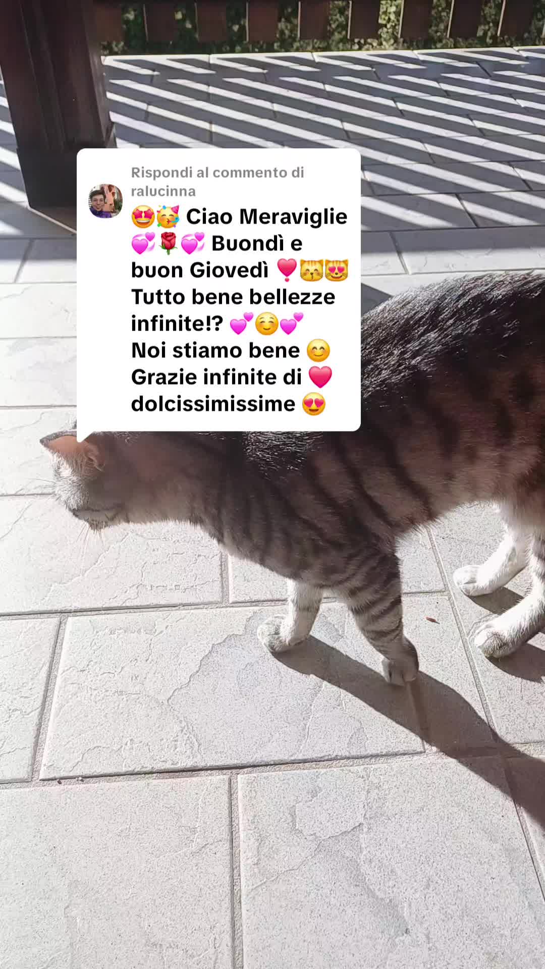 @Stellina