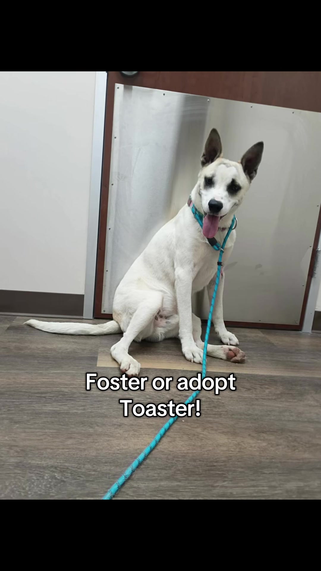 @Corridor Rescue Inc.